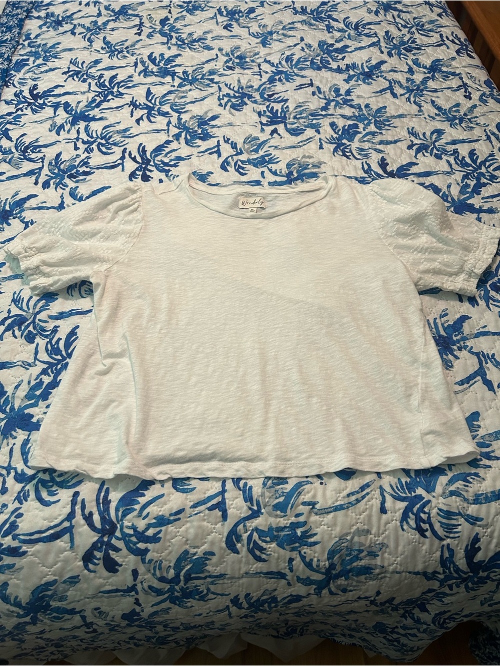 Wonderly Cream Short Puff Sleeve Tee